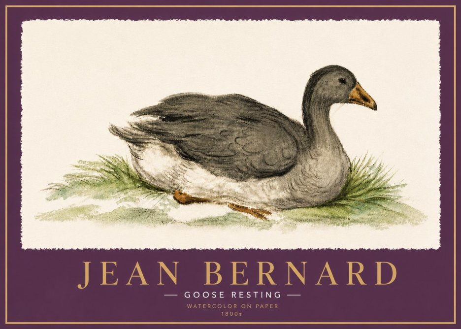 Jean Bernard Goose Resting No6 - Affiche