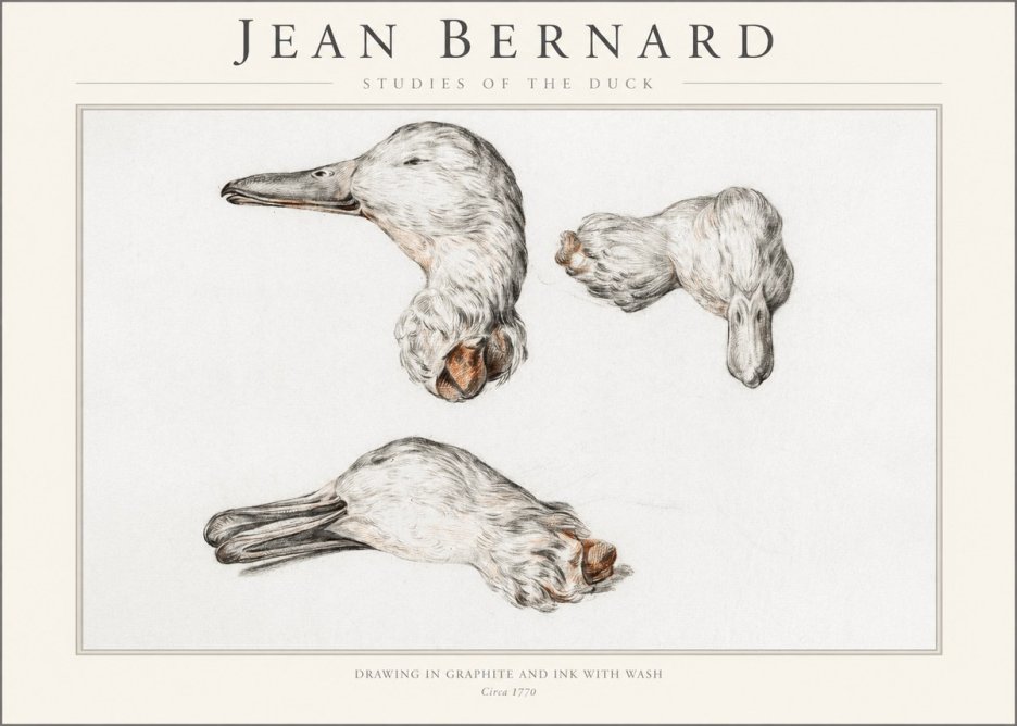 Jean Bernard Studies of the Duck No1 - Affiche