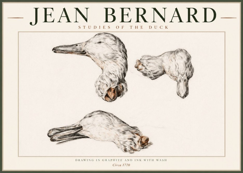 Jean Bernard Studies of the Duck No4 - Affiche