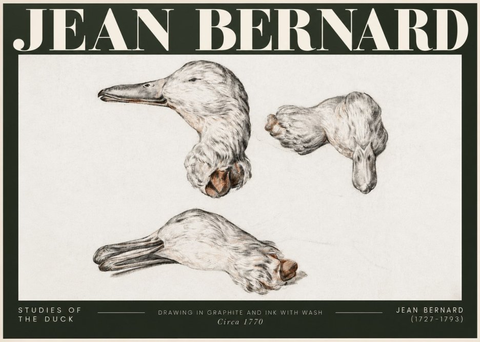Jean Bernard Studies of the Duck No5 - Affiche