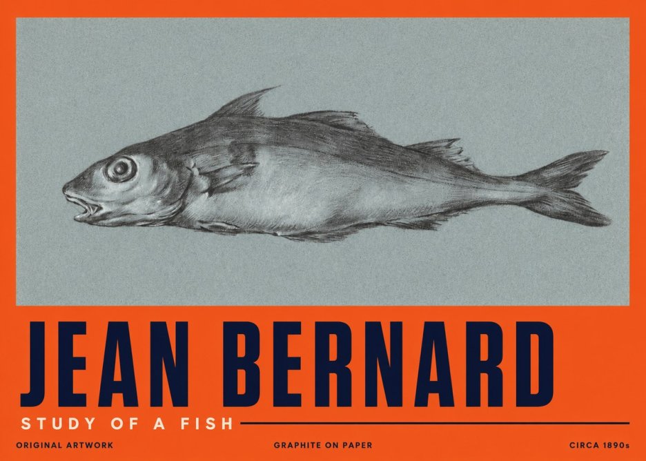 Jean Bernard Fish Study I No5 - Affiche