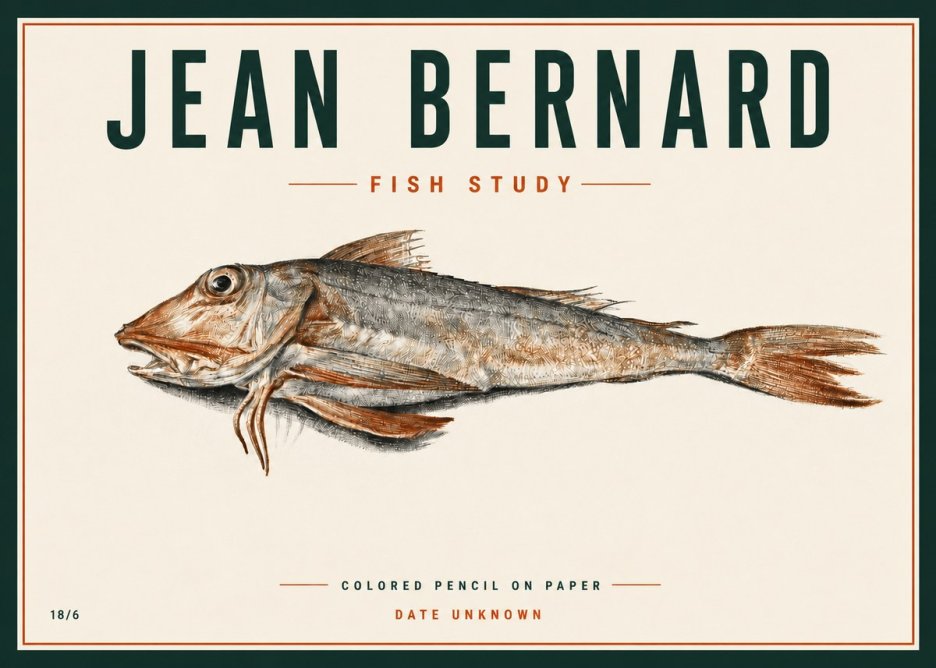 Jean Bernard Fish Study II No4 - Affiche