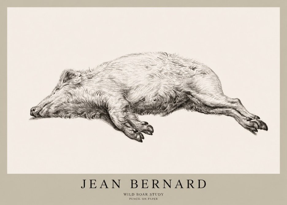 Jean Bernard Wild Boar Study No1 - Affiche