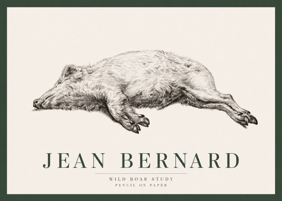 Jean Bernard Wild Boar Study No2 - Affiche