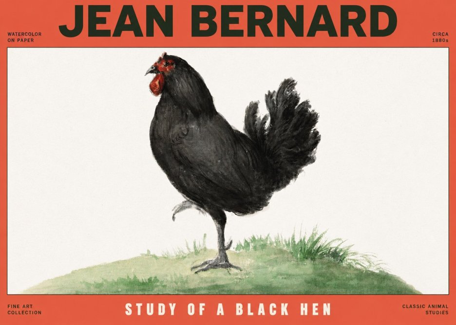 Jean Bernard Study of a Black Hen No2 - Affiche