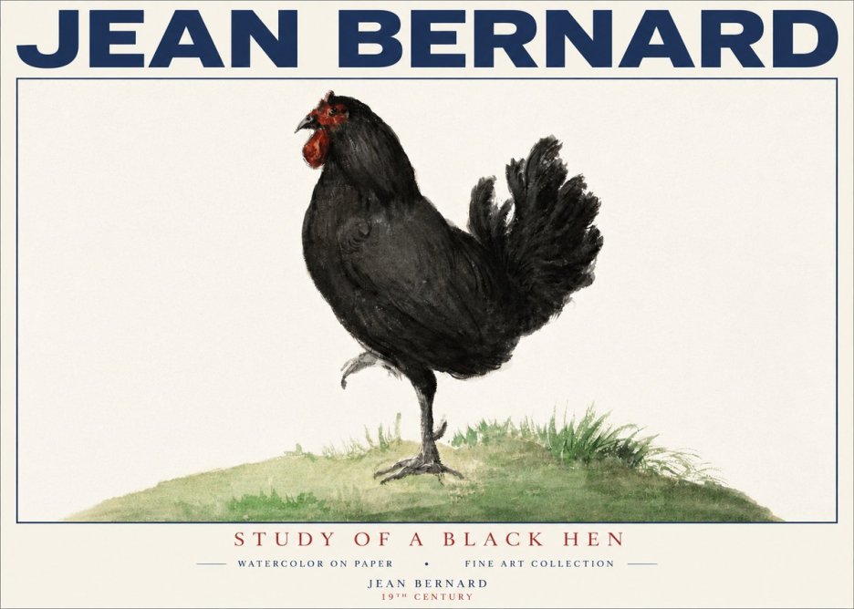 Jean Bernard Study of a Black Hen No4 - Affiche