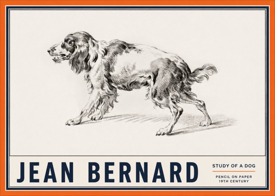 Jean Bernard Study of a Dog V No2 - Affiche