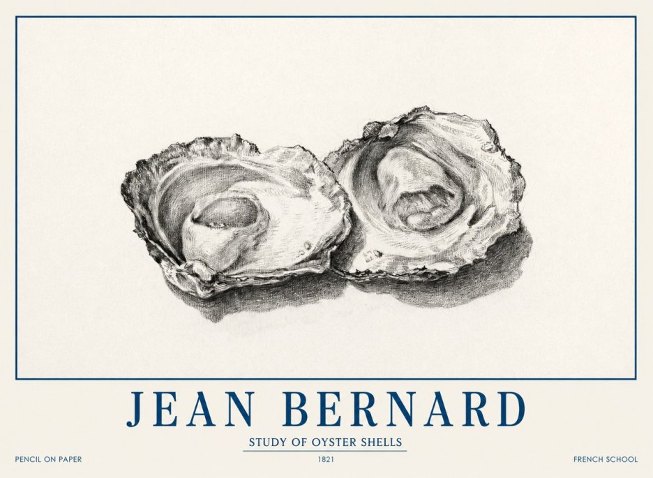 Jean Bernard Study of Oyster Shells No1 - Affiche