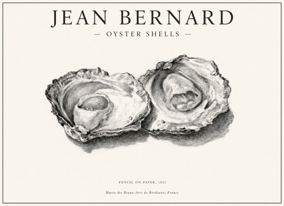 Jean Bernard Study of Oyster Shells No6 - Affiche