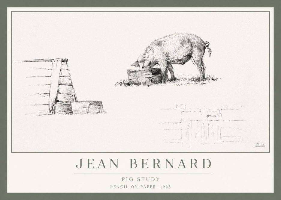 Jean Bernard Pig Study No1 - Affiche