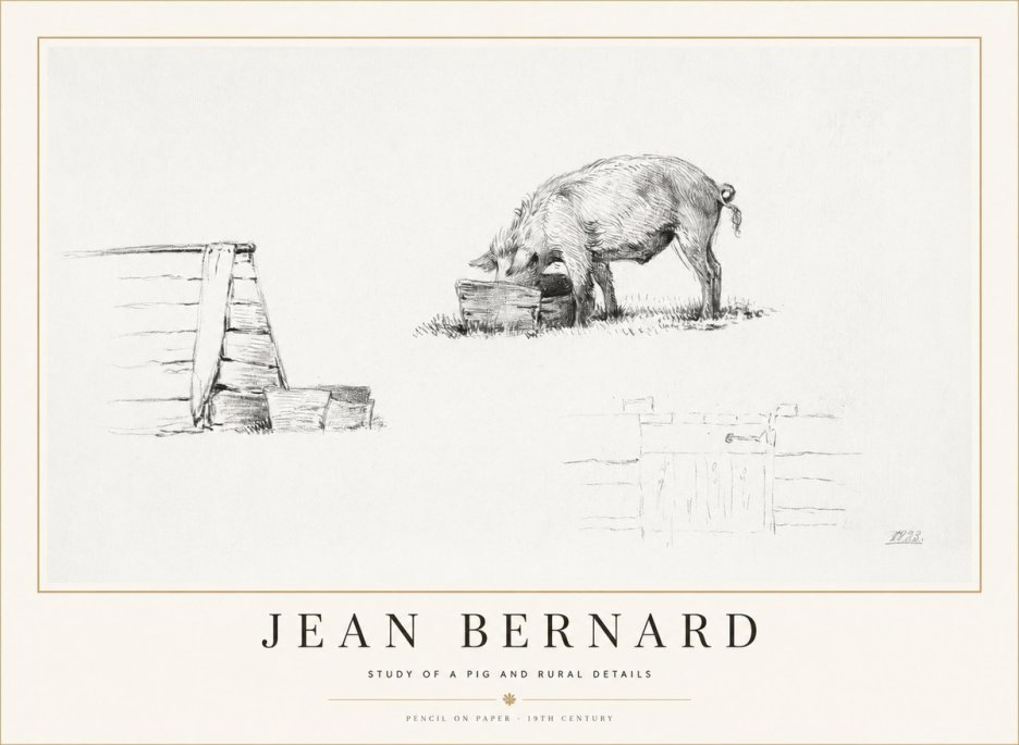Jean Bernard Pig Study No2 - Affiche