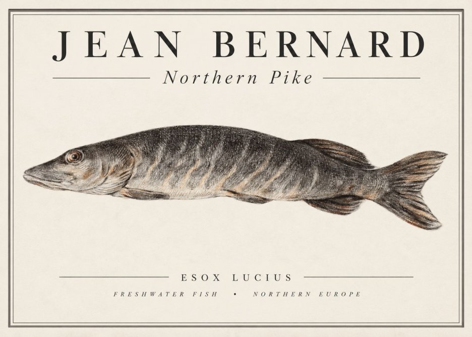 Jean Bernard Australian Lungfish No2 - Affiche