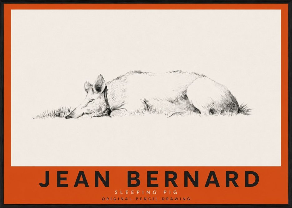 Jean Bernard Sleeping Pig II No3 - Affiche