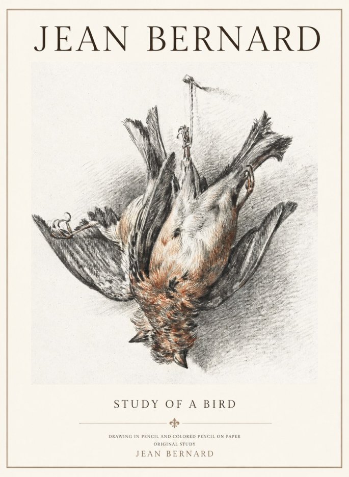 Jean Bernard Study of a Bird IV No3 - Affiche
