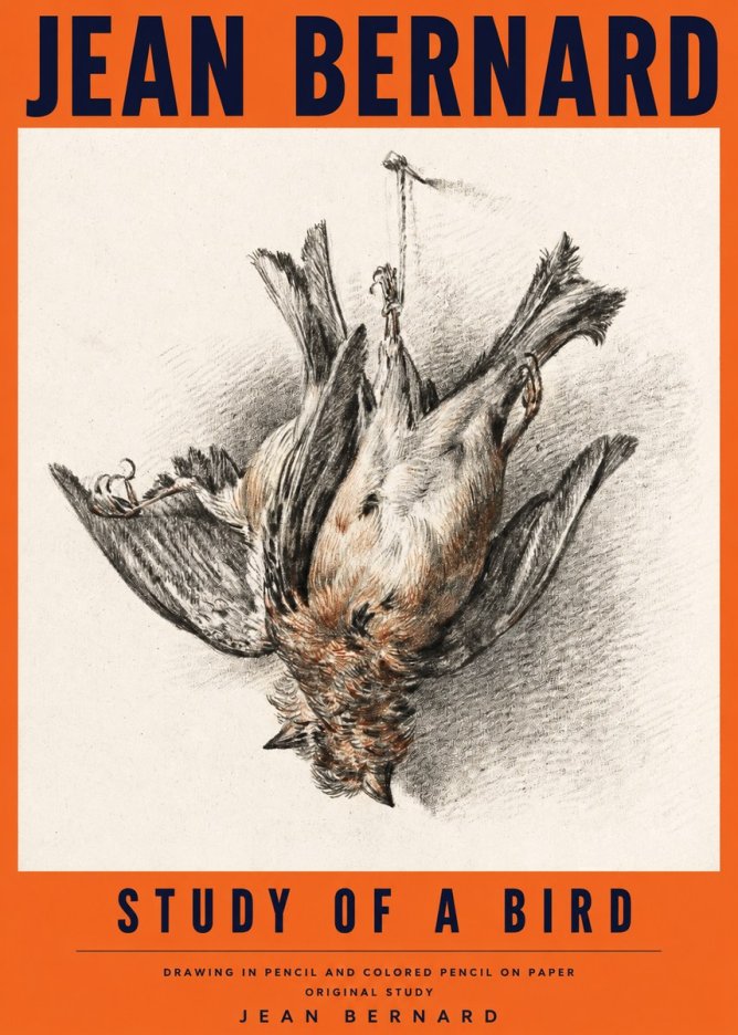 Jean Bernard Study of a Bird IV No4 - Affiche