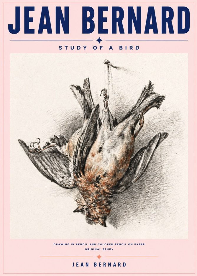 Jean Bernard Study of a Bird IV No6 - Affiche