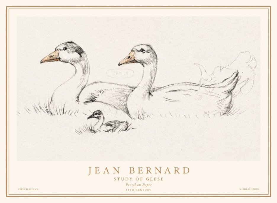 Jean Bernard Study of Geese No1 - Affiche