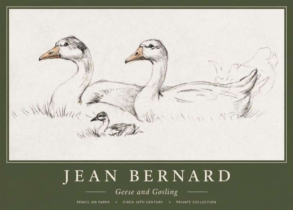 Jean Bernard Study of Geese No2 - Affiche