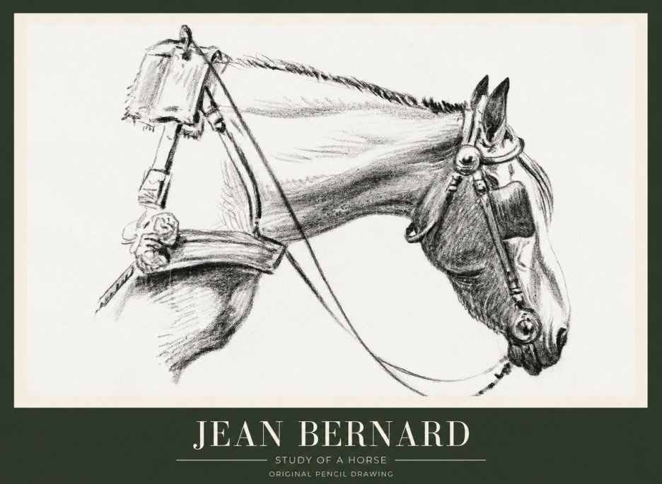 Jean Bernard Study of a Horse XVIII No1 - Affiche