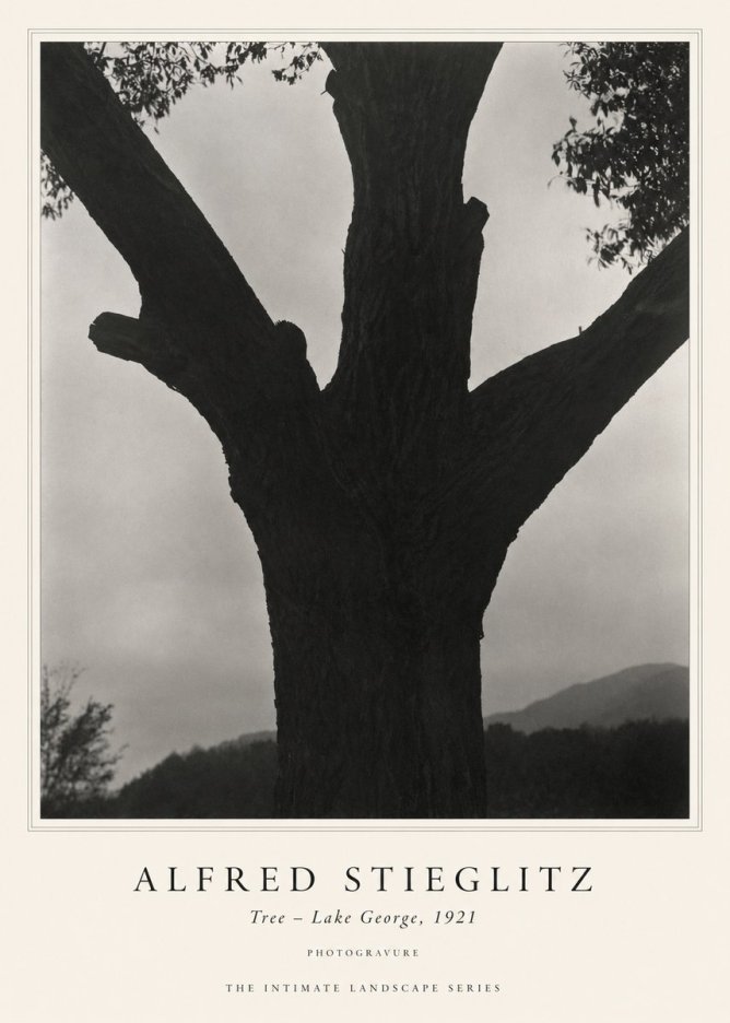 Alfred Stieglitz Tree - Lake George, 1921 No1 - Affiche