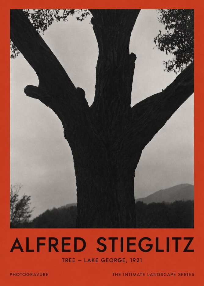 Alfred Stieglitz Tree - Lake George, 1921 No2 - Affiche