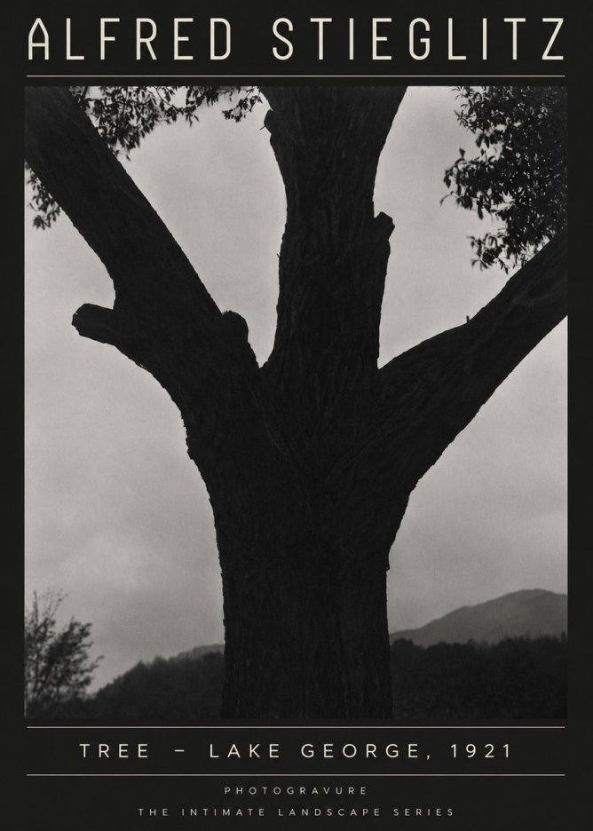 Alfred Stieglitz Tree - Lake George, 1921 No4 - Affiche