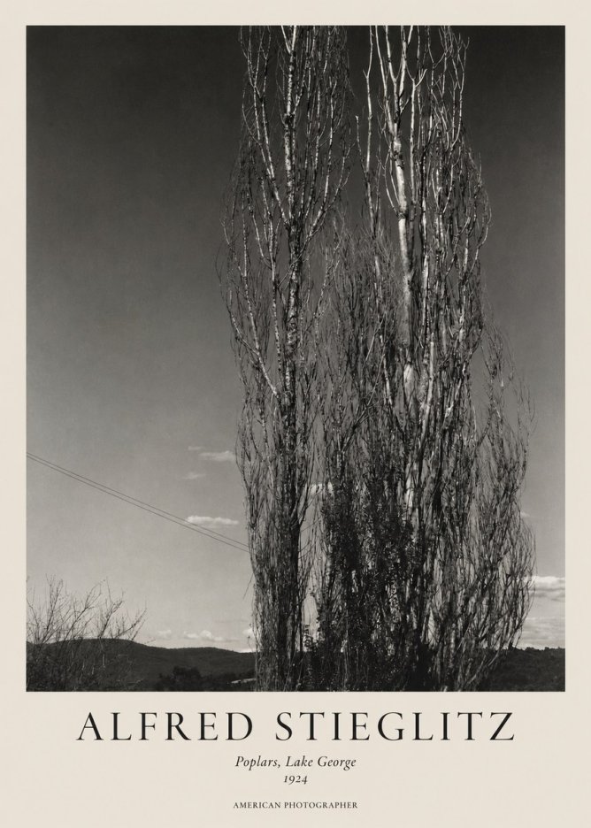 Alfred Stieglitz Trees - Lake George, 1921 No2 - Affiche