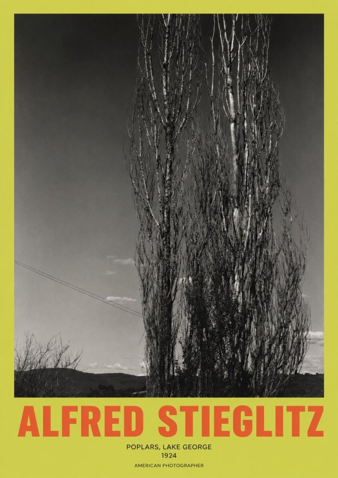 Alfred Stieglitz Trees - Lake George, 1921 No3 - Affiche