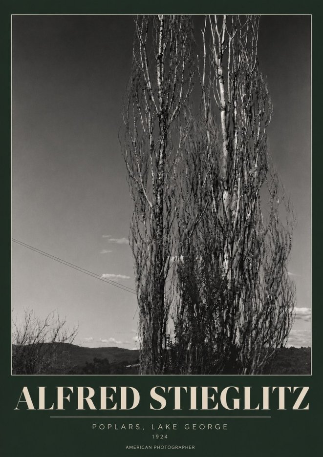 Alfred Stieglitz Trees - Lake George, 1921 No6 - Affiche