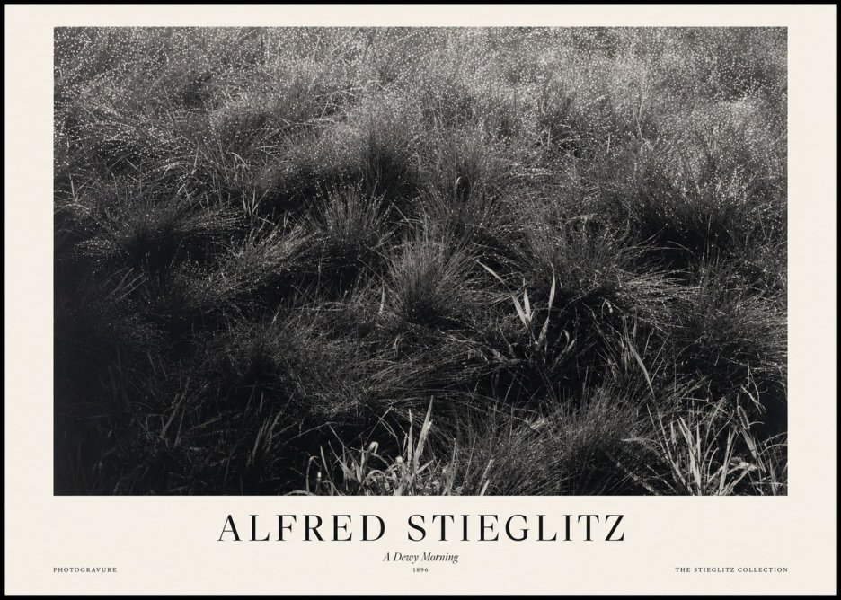 Alfred Stieglitz A Dewy Morning No1 - Affiche