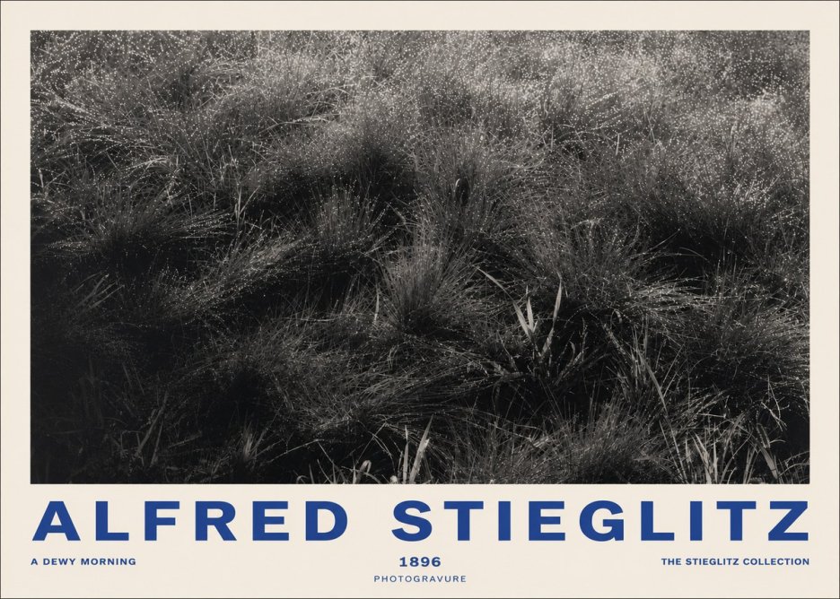 Alfred Stieglitz A Dewy Morning No2 - Affiche