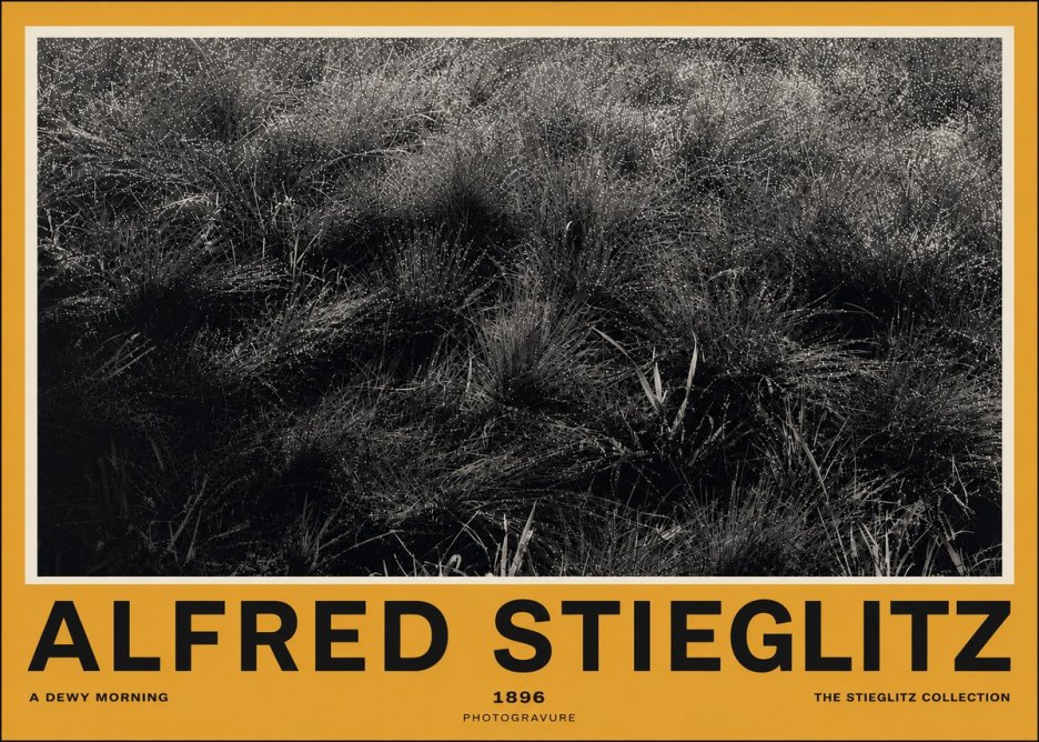 Alfred Stieglitz A Dewy Morning No4 - Affiche