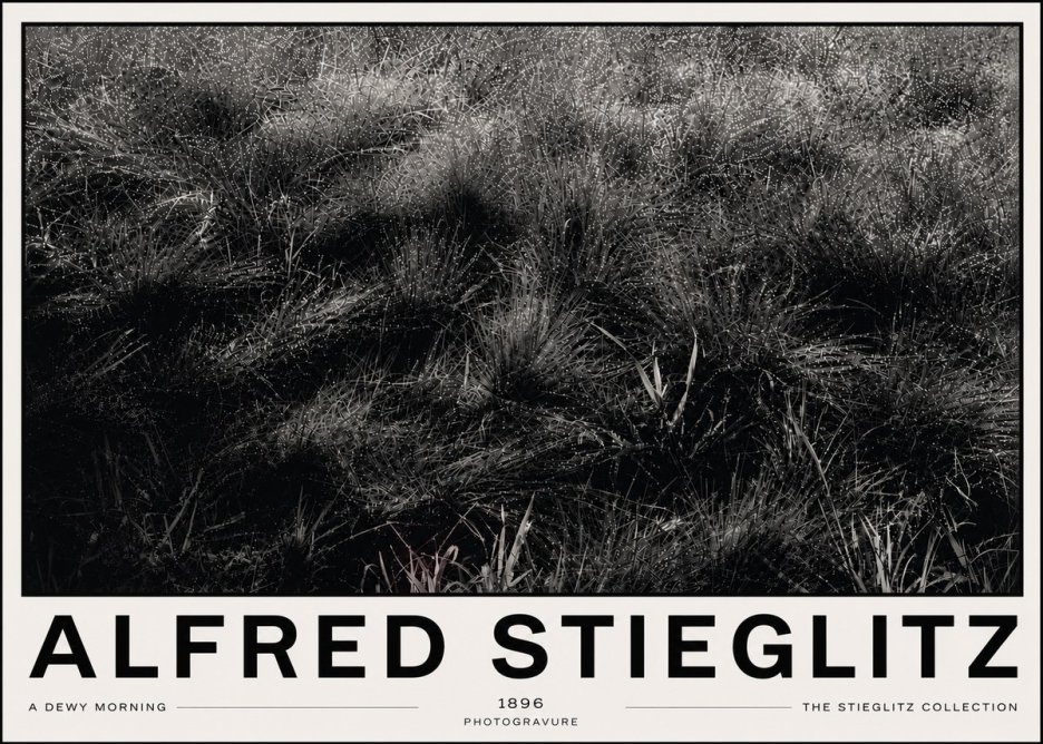 Alfred Stieglitz A Dewy Morning No6 - Affiche