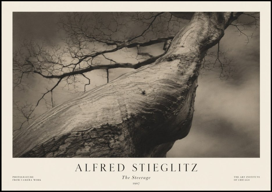 Alfred Stieglitz The Steerage I No1 - Affiche