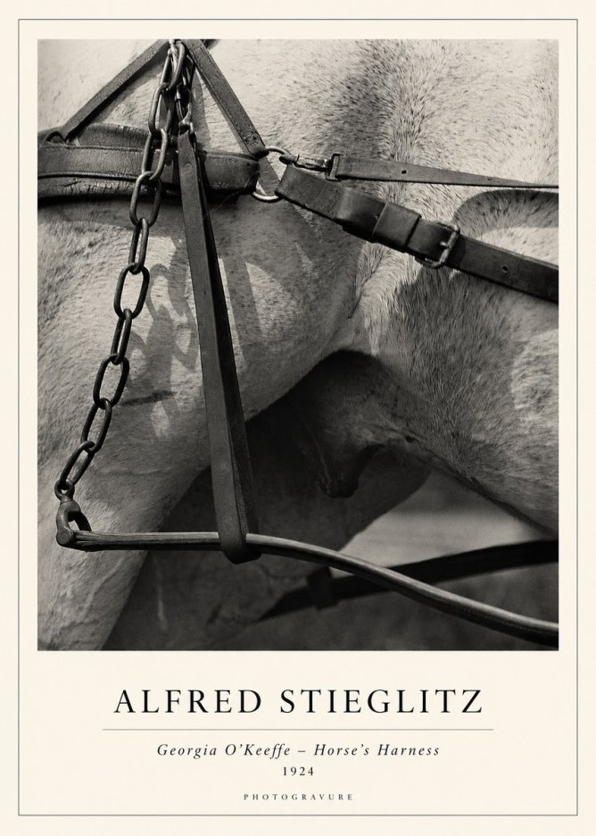 Alfred Stieglitz The Steerage I No2 - Affiche
