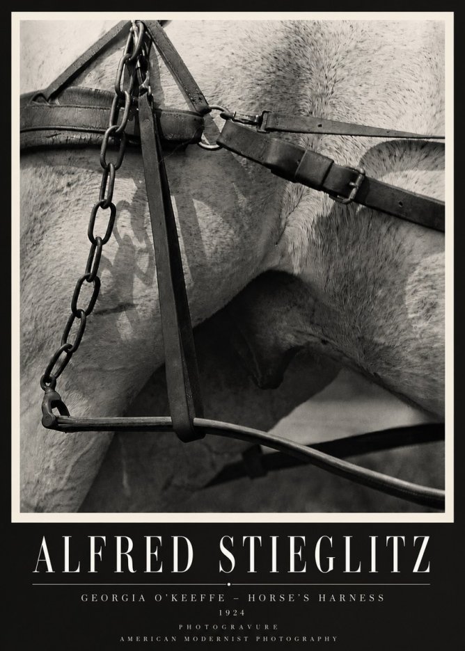 Alfred Stieglitz The Steerage I No4 - Affiche