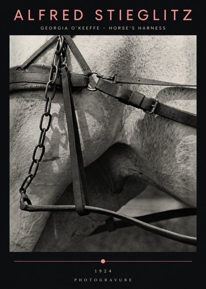 Alfred Stieglitz The Steerage I No5 - Affiche