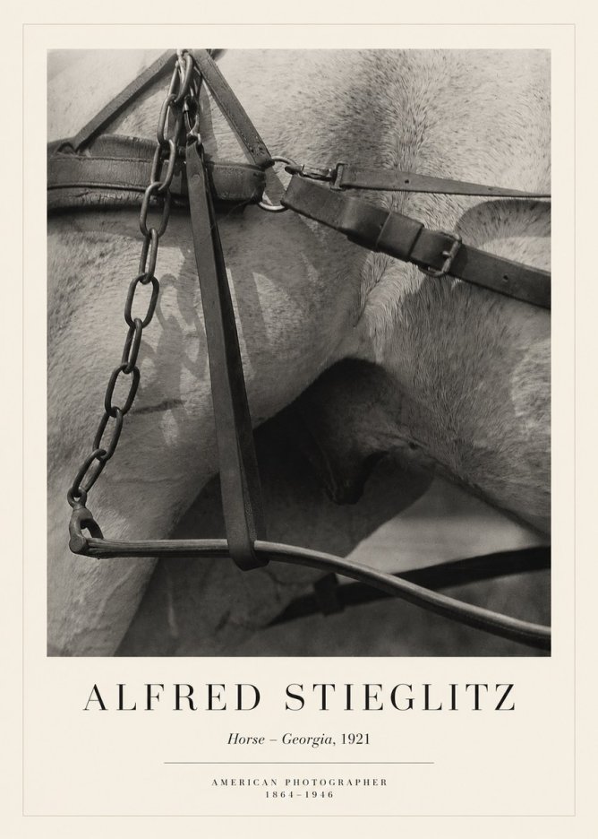Alfred Stieglitz The Steerage I No6 - Affiche