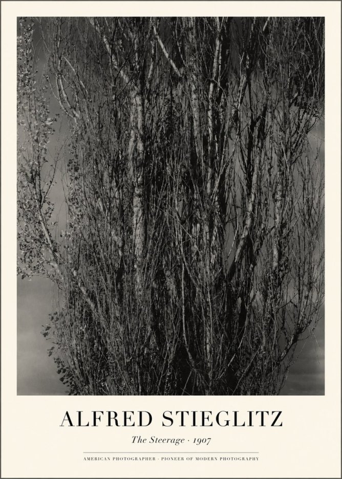 Alfred Stieglitz The Steerage II No1 - Affiche