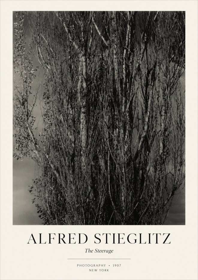 Alfred Stieglitz The Steerage II No3 - Affiche