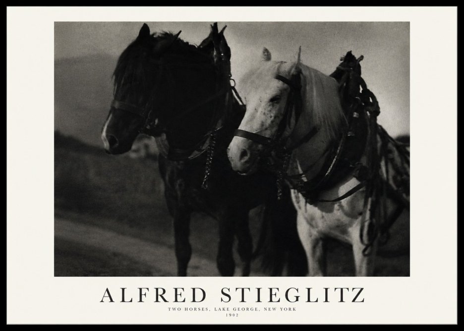 Alfred Stieglitz Two Horses, Lake George, New York No1 - Affiche