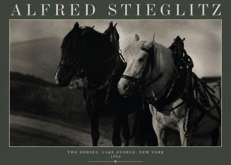 Alfred Stieglitz Two Horses, Lake George, New York No3 - Affiche