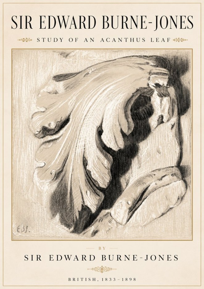 Edward Burne-Jones Study of an Acanthus Leaf No2 - Affiche