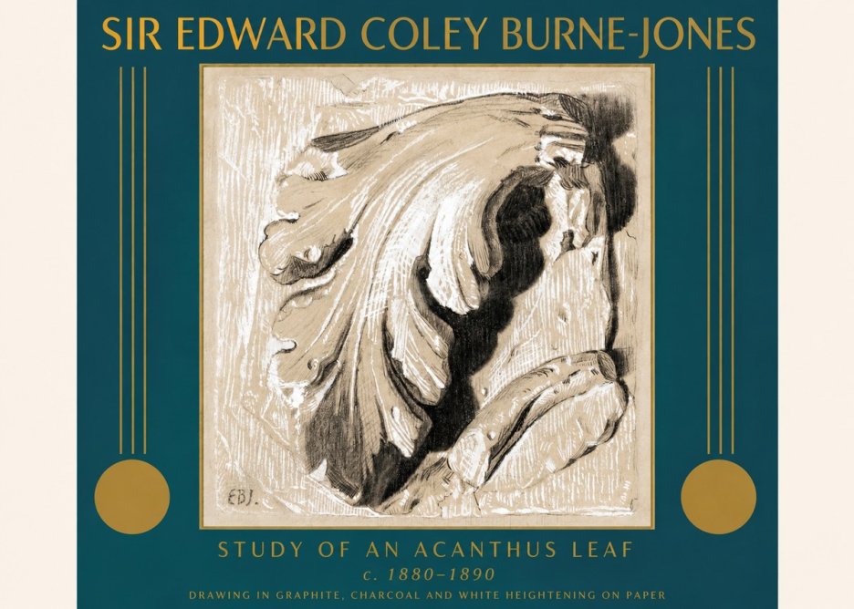 Edward Burne-Jones Study of an Acanthus Leaf No3 - Affiche