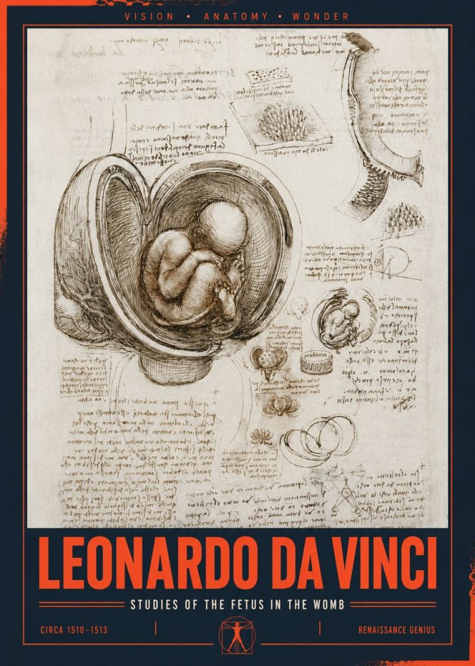 Leonardo da Vinci Studies of the Fetus in the Womb No2 - Affiche