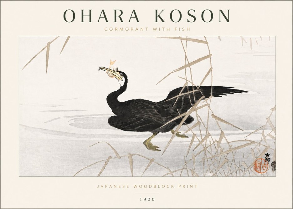 Ohara Koson Cormorant with Fish No6 - Affiche