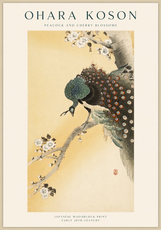 Ohara Koson Peacock and Cherry Blossoms No1 - Affiche