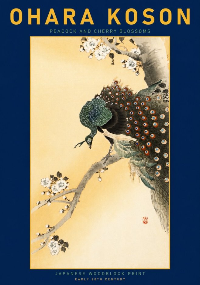Ohara Koson Peacock and Cherry Blossoms No3 - Affiche