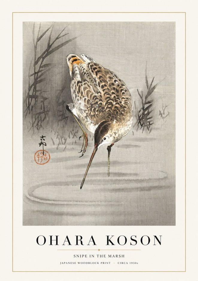 Ohara Koson Snipe in the Marsh No1 - Affiche
