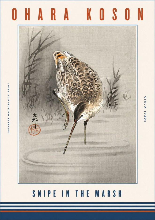 Ohara Koson Snipe in the Marsh No3 - Affiche